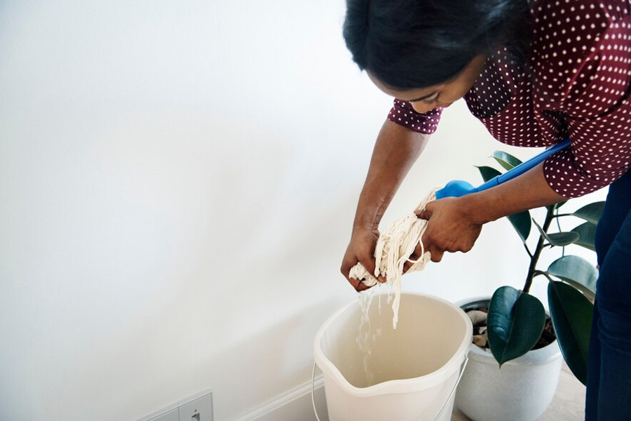 how to use lemon and alum for cleaning