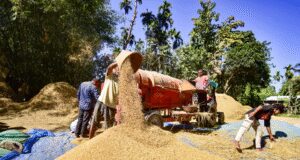 केंद्र सरकार ने एमएसपी के रूप में वित्त वर्ष 2024-25 में किसानों को 3.47 लाख करोड़ रुपए का भुगतान किया