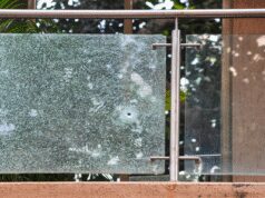 रोहित शेट्टी फायरिंग मामला : आईएमपीपीए ने सीएम फडणवीस को लिखा पत्र, दखल देने की अपील