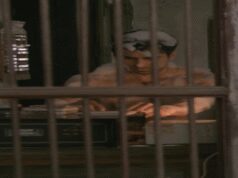 ‘दम लगा के हईशा’ को 11 साल पूरे, आयुष्मान ने शेयर किया फिल्म का फेवरेट सीन