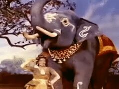 होली स्पेशल: जब ‘अरे जा रे हट नटखट’ गाने के लिए एक्ट्रेस संध्या शांताराम को हाथी से मिलानी पड़ी थी ताल से ताल