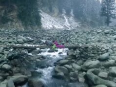 वेलेंटाइन डे पर एकता कपूर ने की नई फिल्म ‘हीर रांझा’ की घोषणा, साजिद अली करेंगे निर्देशन