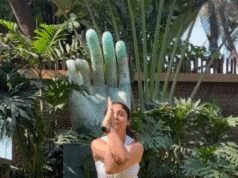 ‘वातायनासन’ से मानसिक थकान और तनाव से मिलेगी छुट्टी