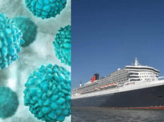 Cruise Ship Virus Outbreak: नोरोवायरस ने मचाई दहशत, 115 लोग अचानक बीमार पड़ने से हड़कंप
